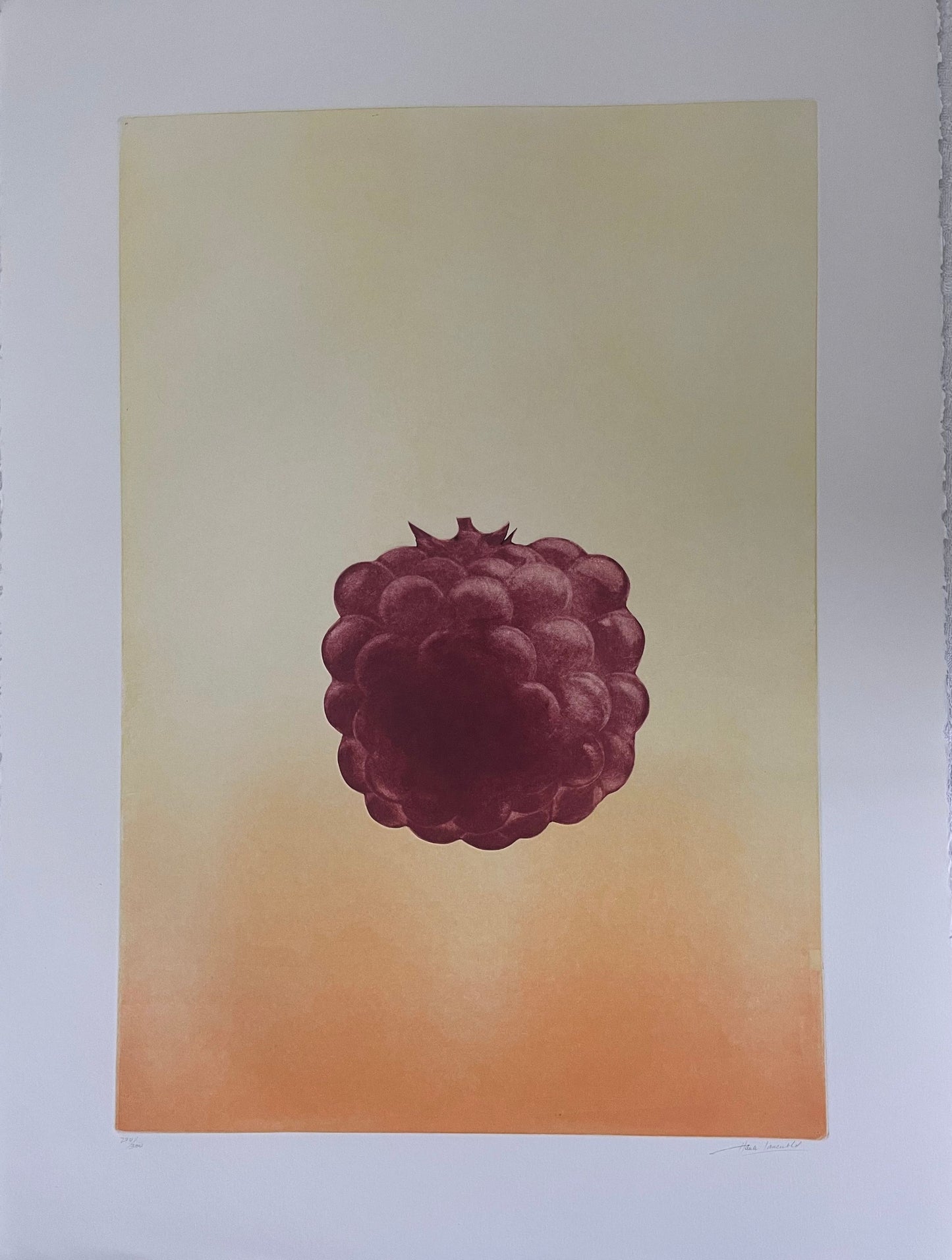 Fruit "Raspberry" by Hank Lavanthol