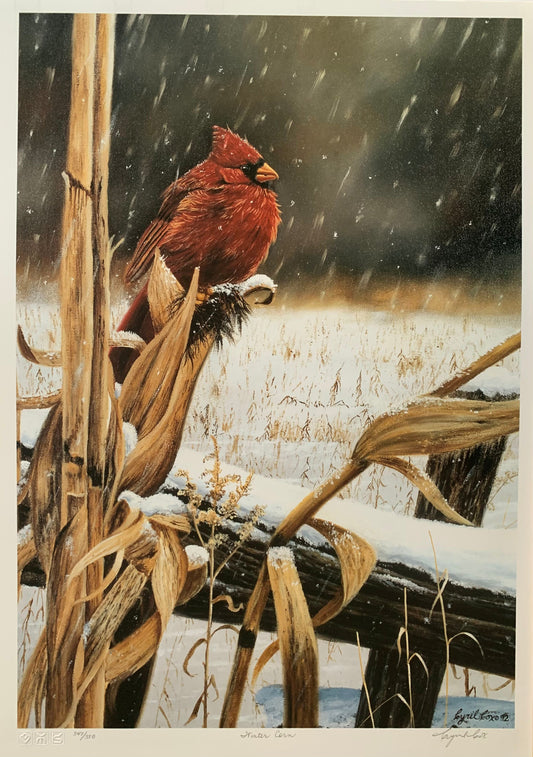 Winter Corn by Cyril Cox