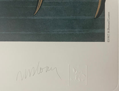 Wood Ibis by M. Bernard Loates