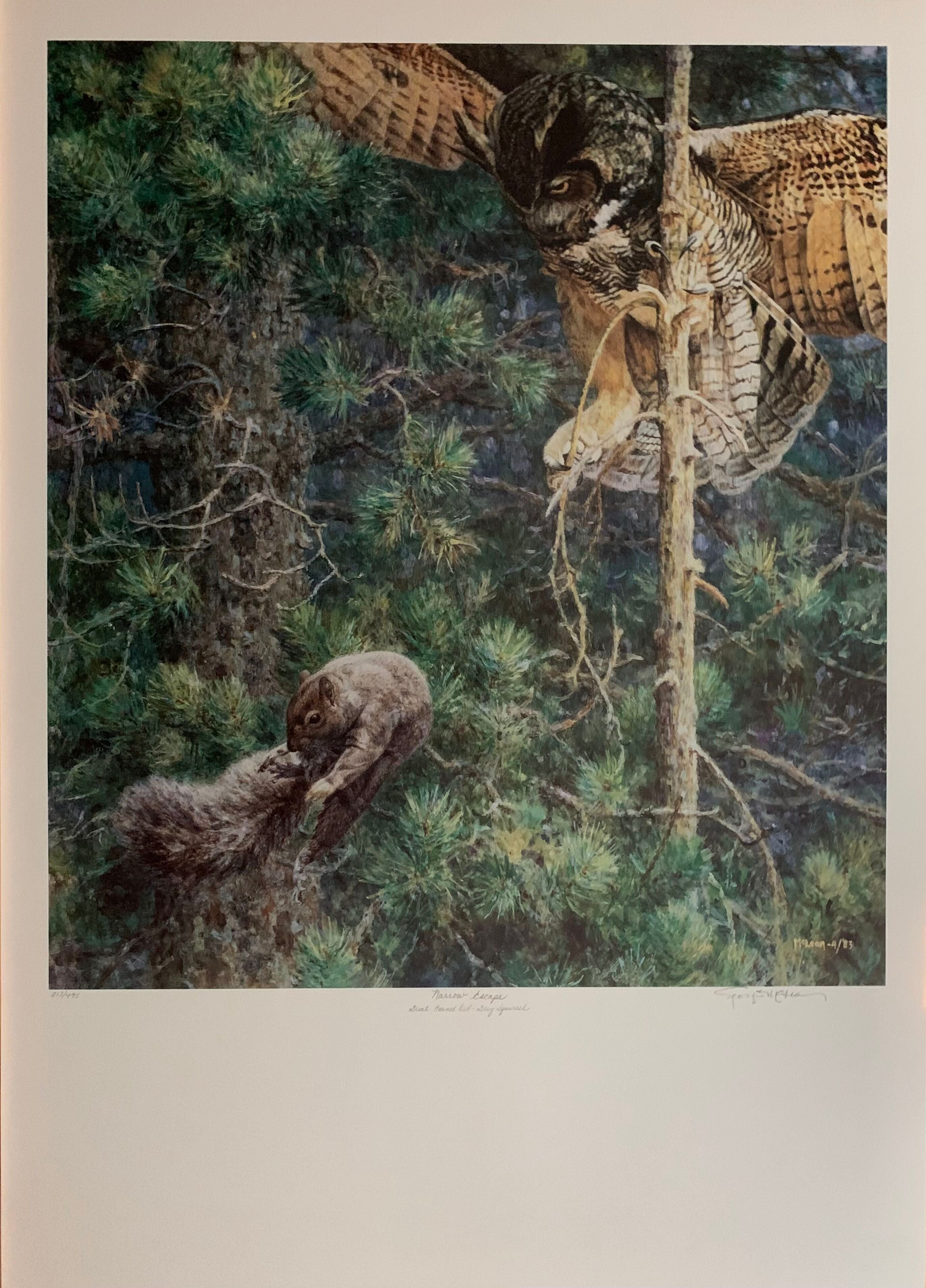 Narrow Escape by George McLean – Outlet Prints