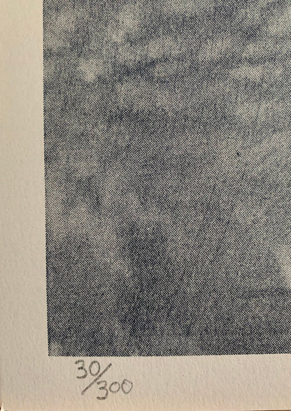 Deontic Paradox 4 by Carl Beam
