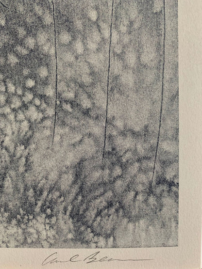 Deontic Paradox 2 by Carl Beam