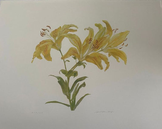 Lemon Lily by Carol Bolt