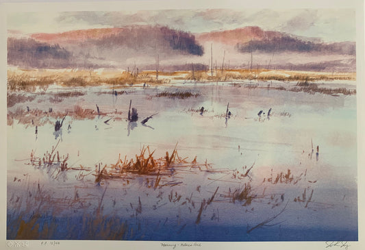 Morning, Holmes Pond by John Joy