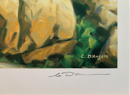 St. Lawrence Archipelago by Claudio D'Angelo