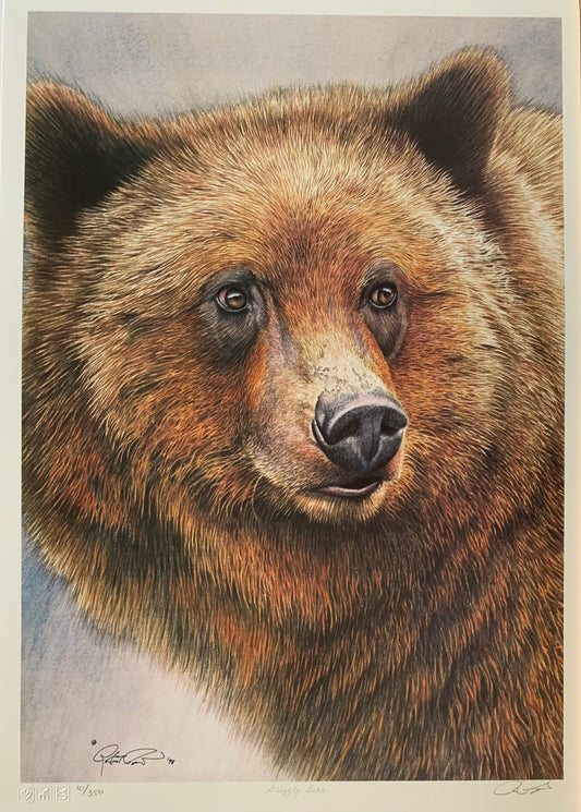 Grizzly Bear by Robert Pow