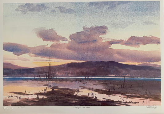 Evening, Loon Lake by John Joy