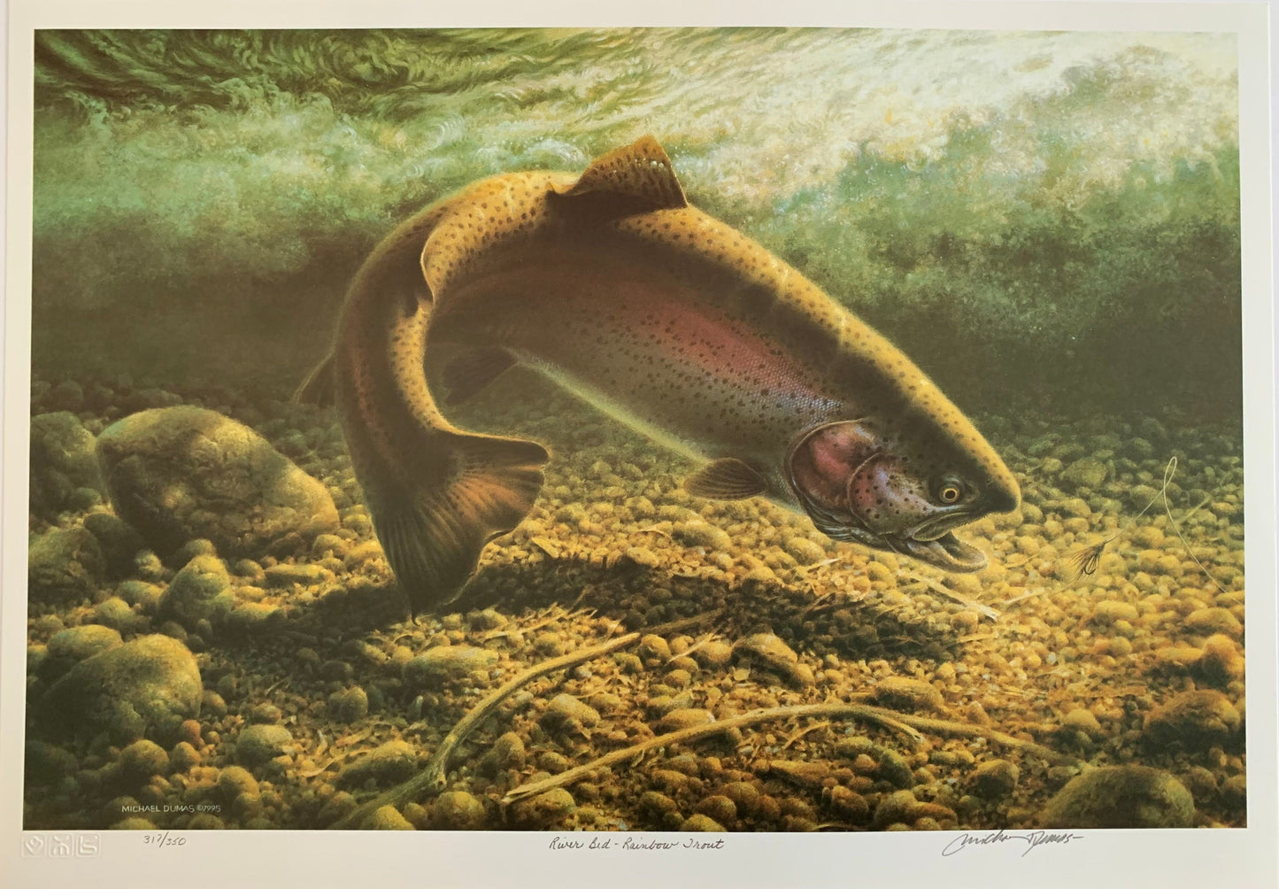 River Red-Rainbow Trout by Michael Dumas