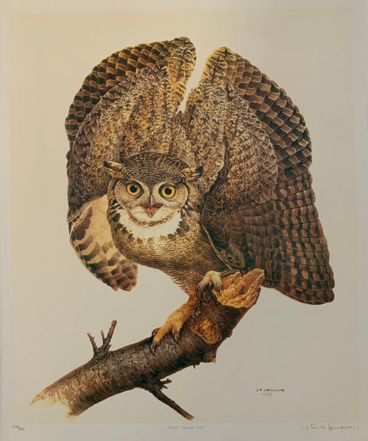 Great Horned Owl by James Lansdowne