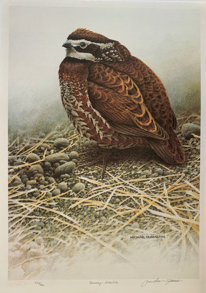 Laneway-Bobwhite by Michael Dumas