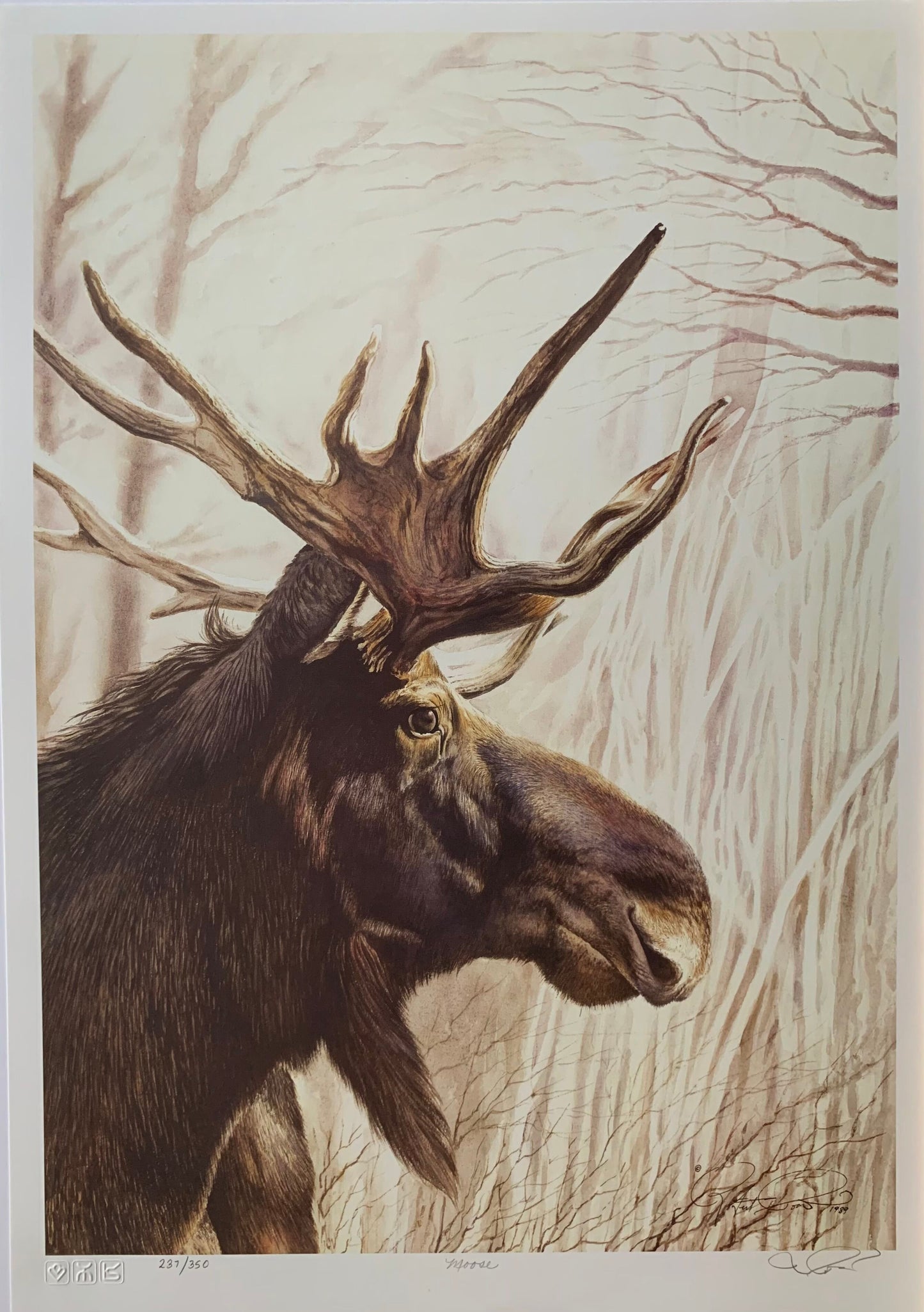 Moose by Robert Pow