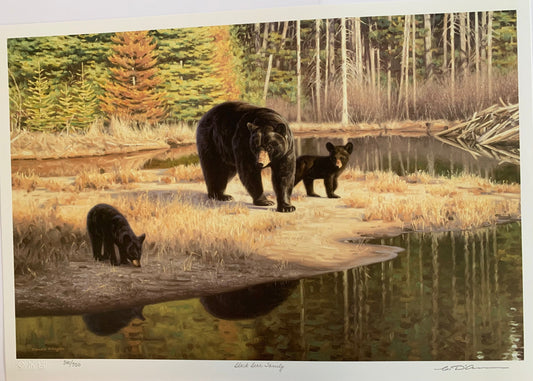 Black Bear Family by Claudio D'Angelo