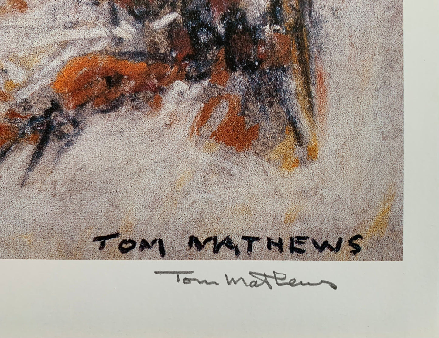 Snow Mist by Tom Mathews