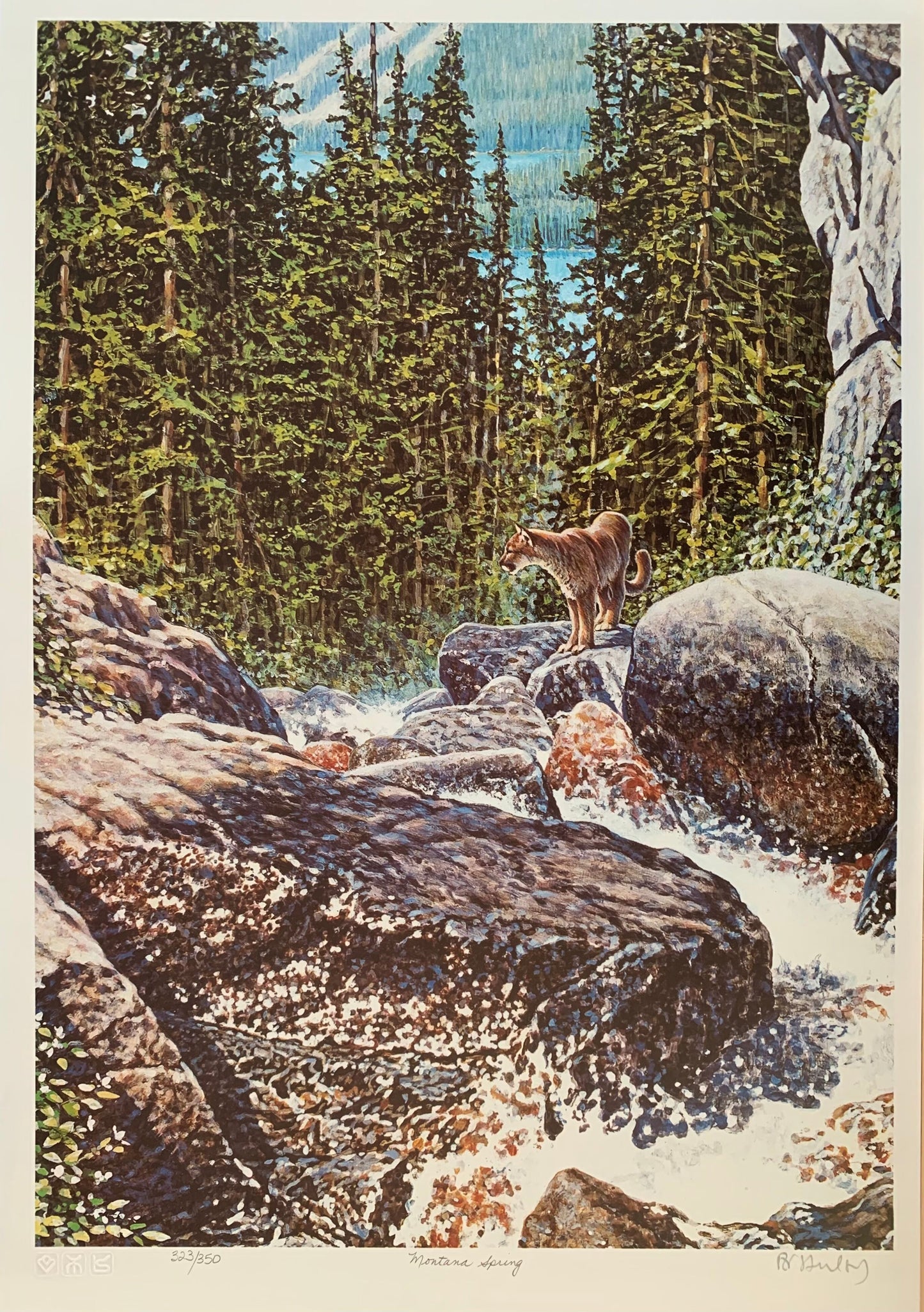 Montana Spring by R.V Stanley