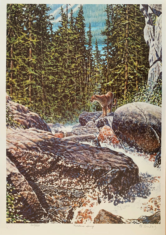 Montana Spring by R.V Stanley