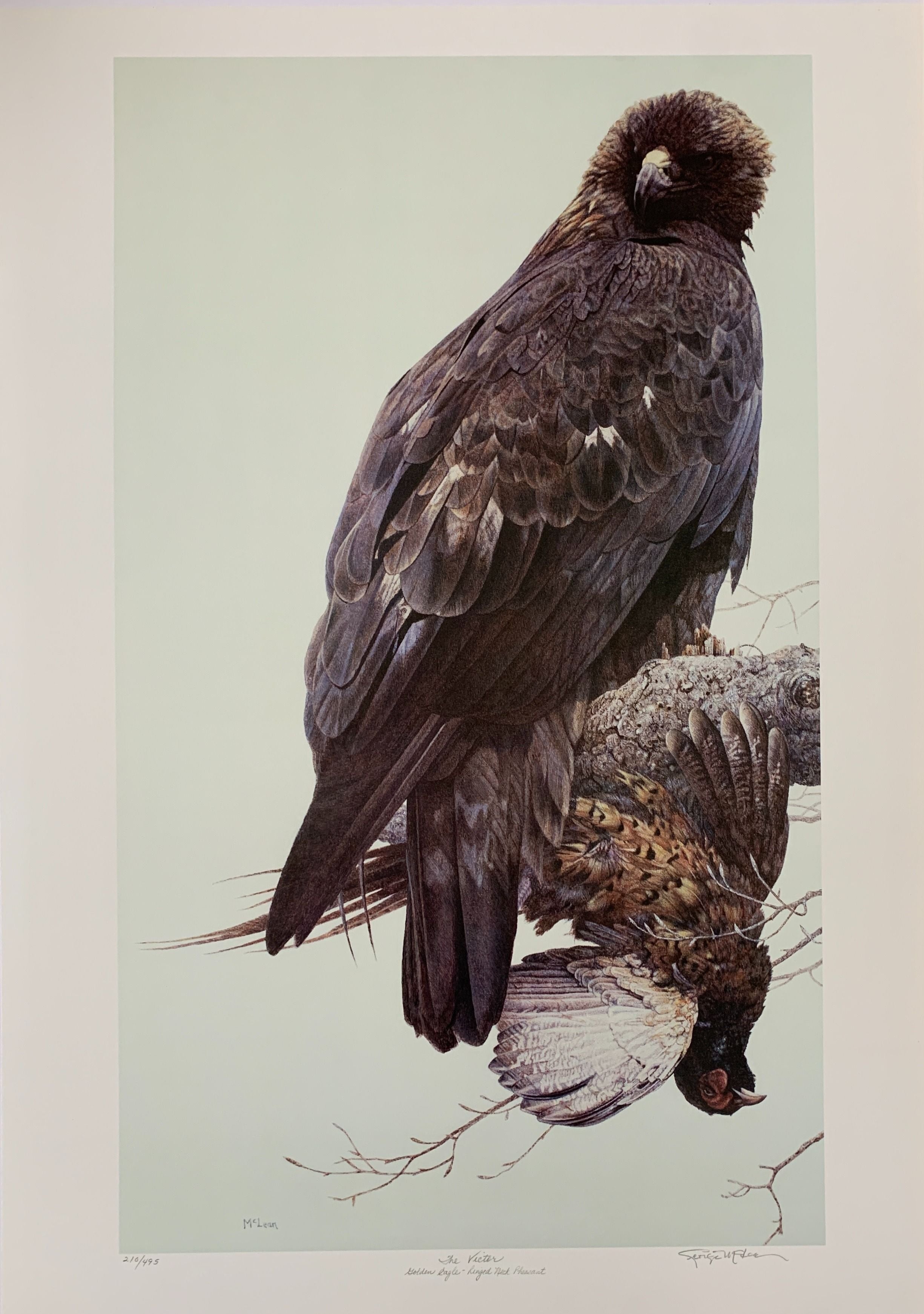 Victor by George McLean – Outlet Prints