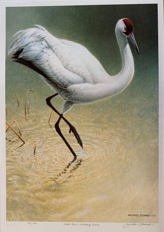 Flood Plain-Whopping Crane by Michael Dumas