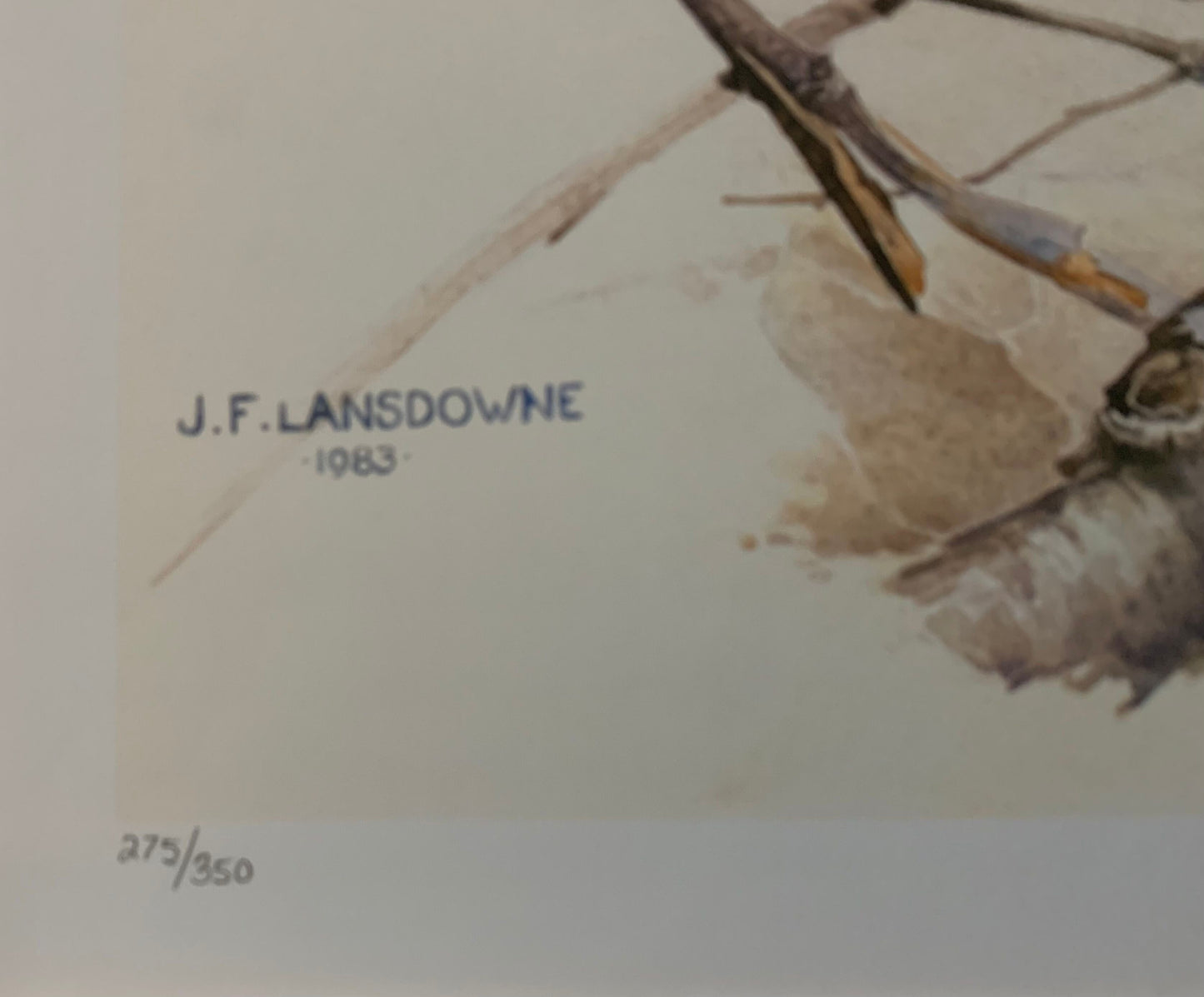 Blue Grouse by James Lansdowne