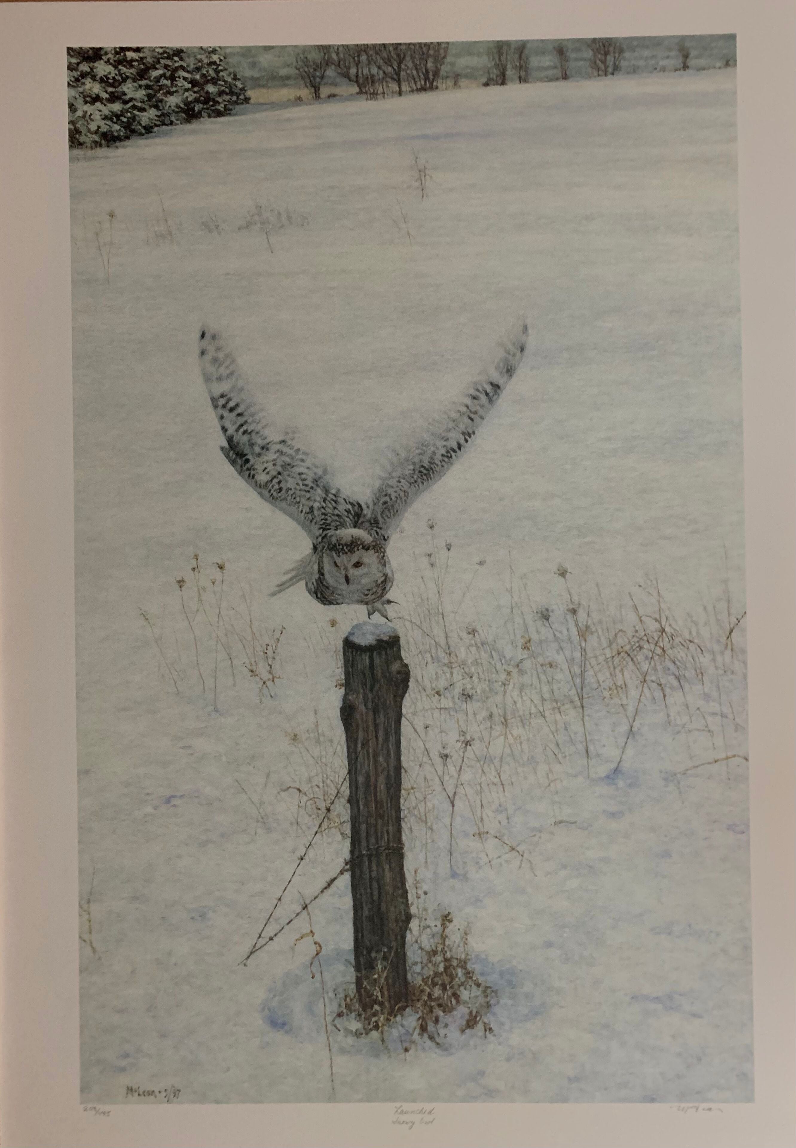 Launched by George McLean – Outlet Prints