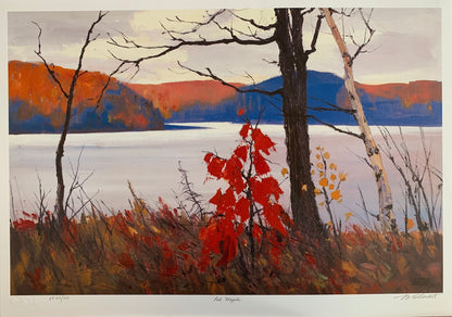 Red Maple by Murray Stewart