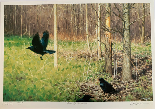 Crows By The Woods by Claudio D'Angelo